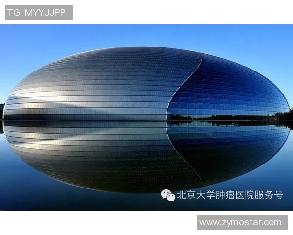 抗癌足球：用激情与团结点燃希望之光，助力战胜癌症的勇士们