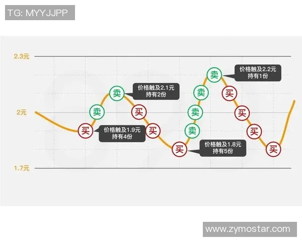 深入分析上海羽毛球队的控制打法及其在比赛中的应用策略