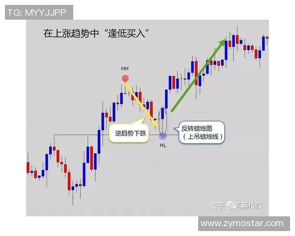 足球推荐专家带你解析比赛走势助力投注决策提升胜率技巧分享